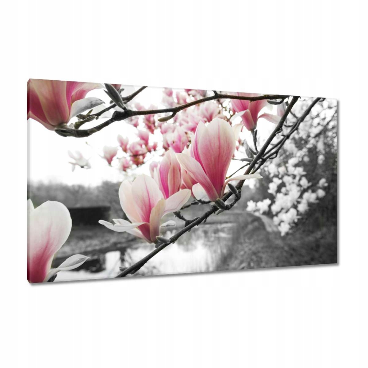 Obrazy 120x70 Magnolie Květiny