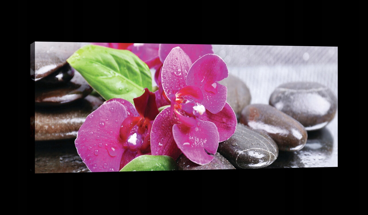 Obraz 145x45 Orchideje kameny lázně relaxace příroda svěžest klid zenu