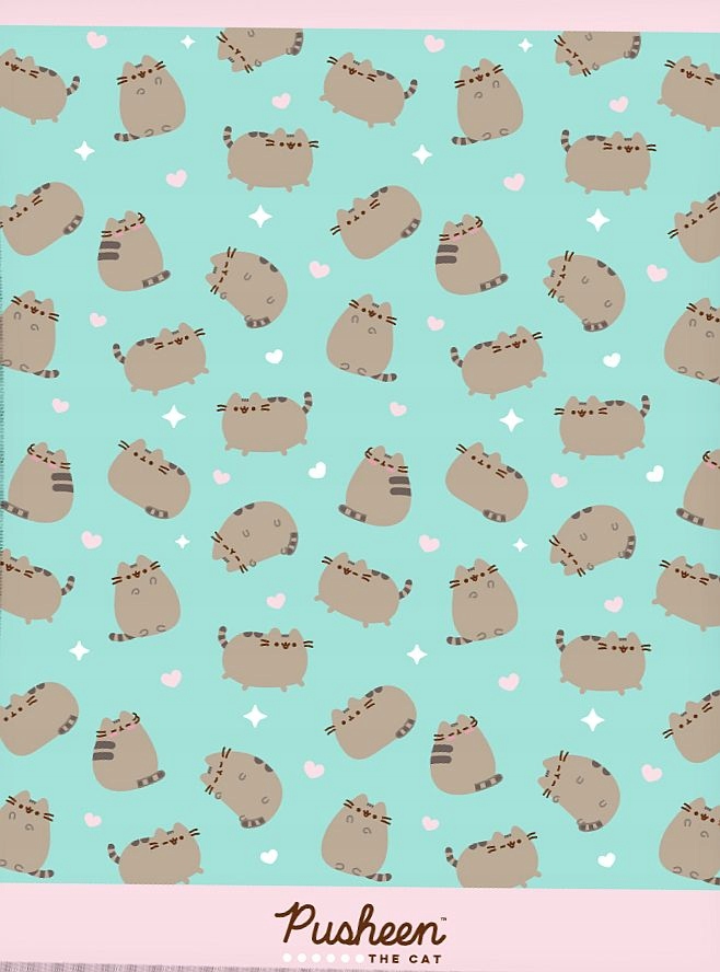 

Miętowy Duży Koc Pusheen The Cat Oryginał Licencja