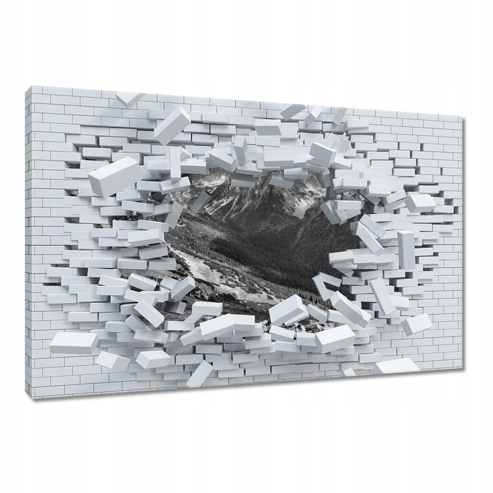 

Obrazy 60x40 Tatry Polskie góry Widok