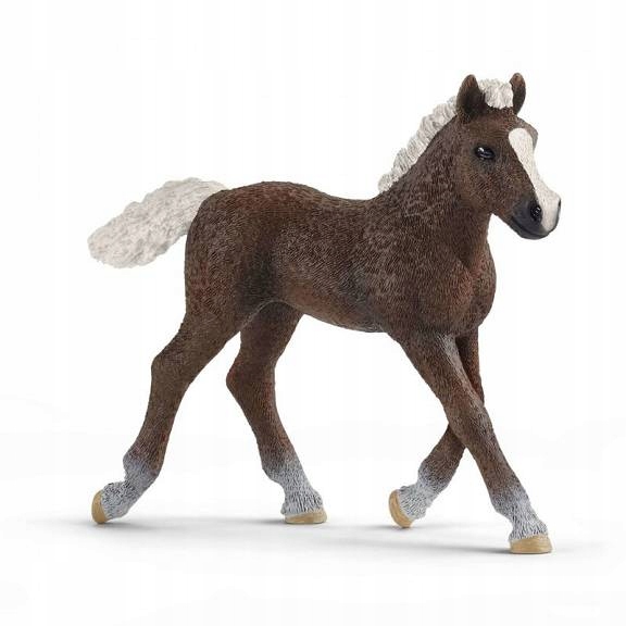 

Schleich Koń Rasa Szwedzka źrebię 13899