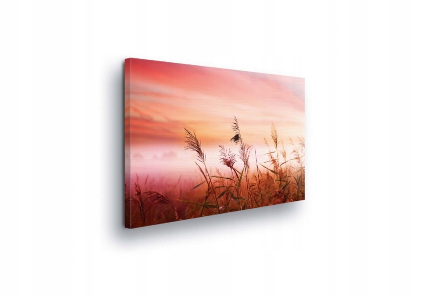 Obraz 100x75 Východ slunce Západ mlha příroda tráva klid sen teplo