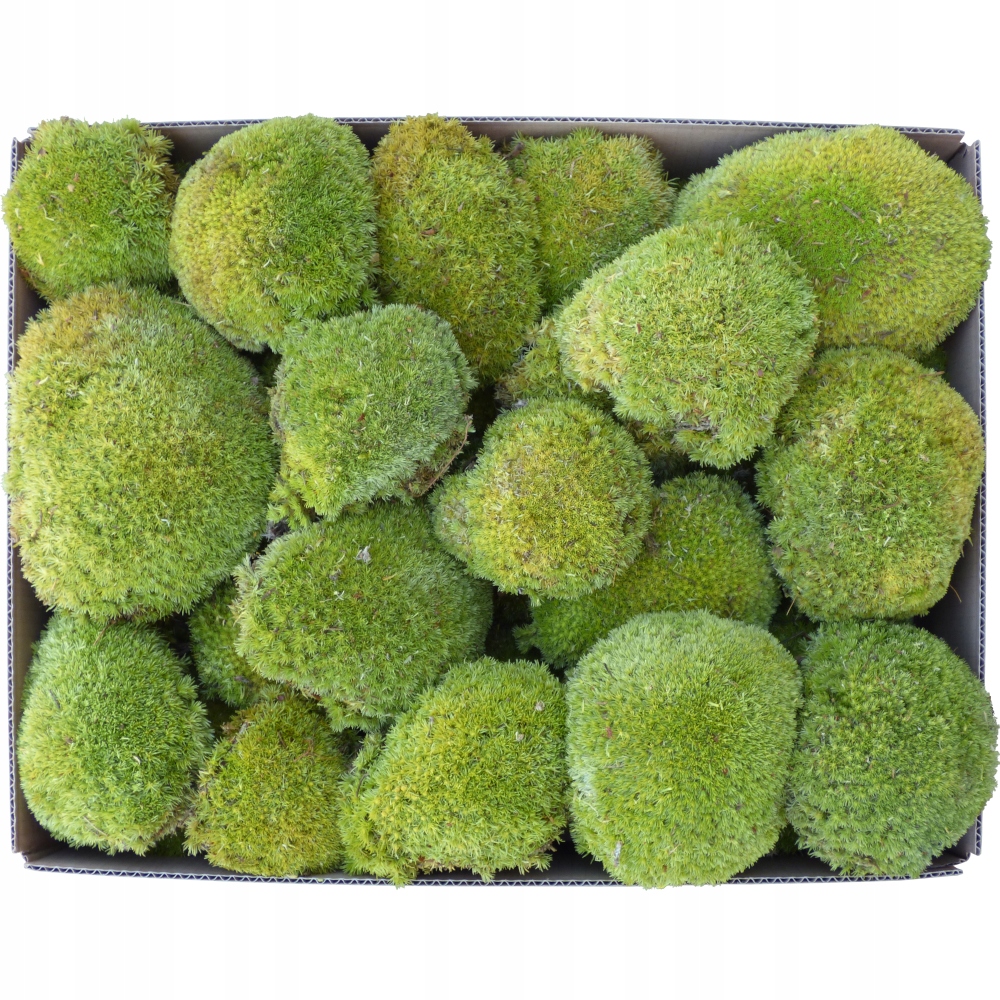 Mech Poduszkowy Premium Jasna Zieleń Karton 0,12m2 Marka inna