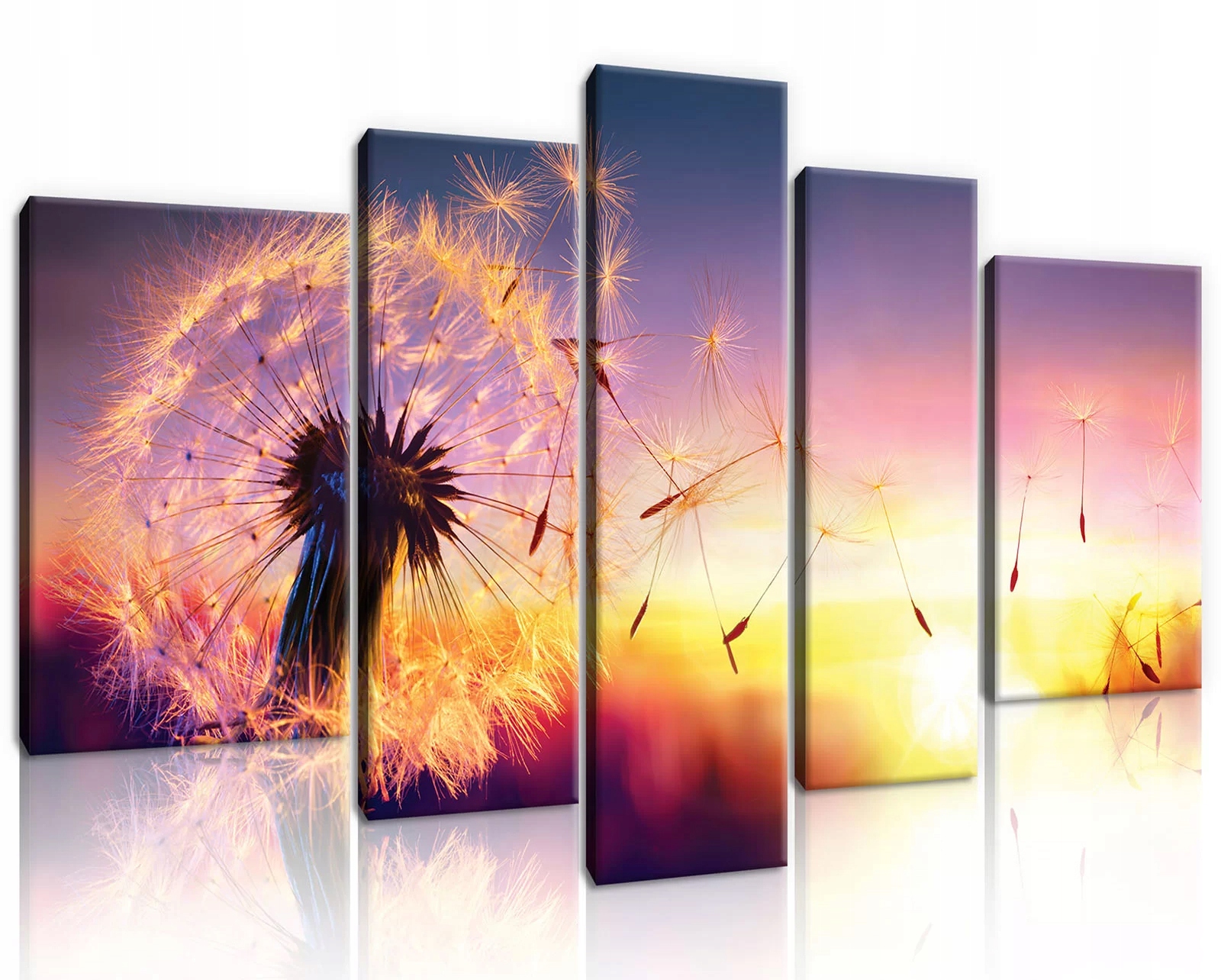 Obraz Na Plátně Canvas 170x100 Pampeliška Slunce