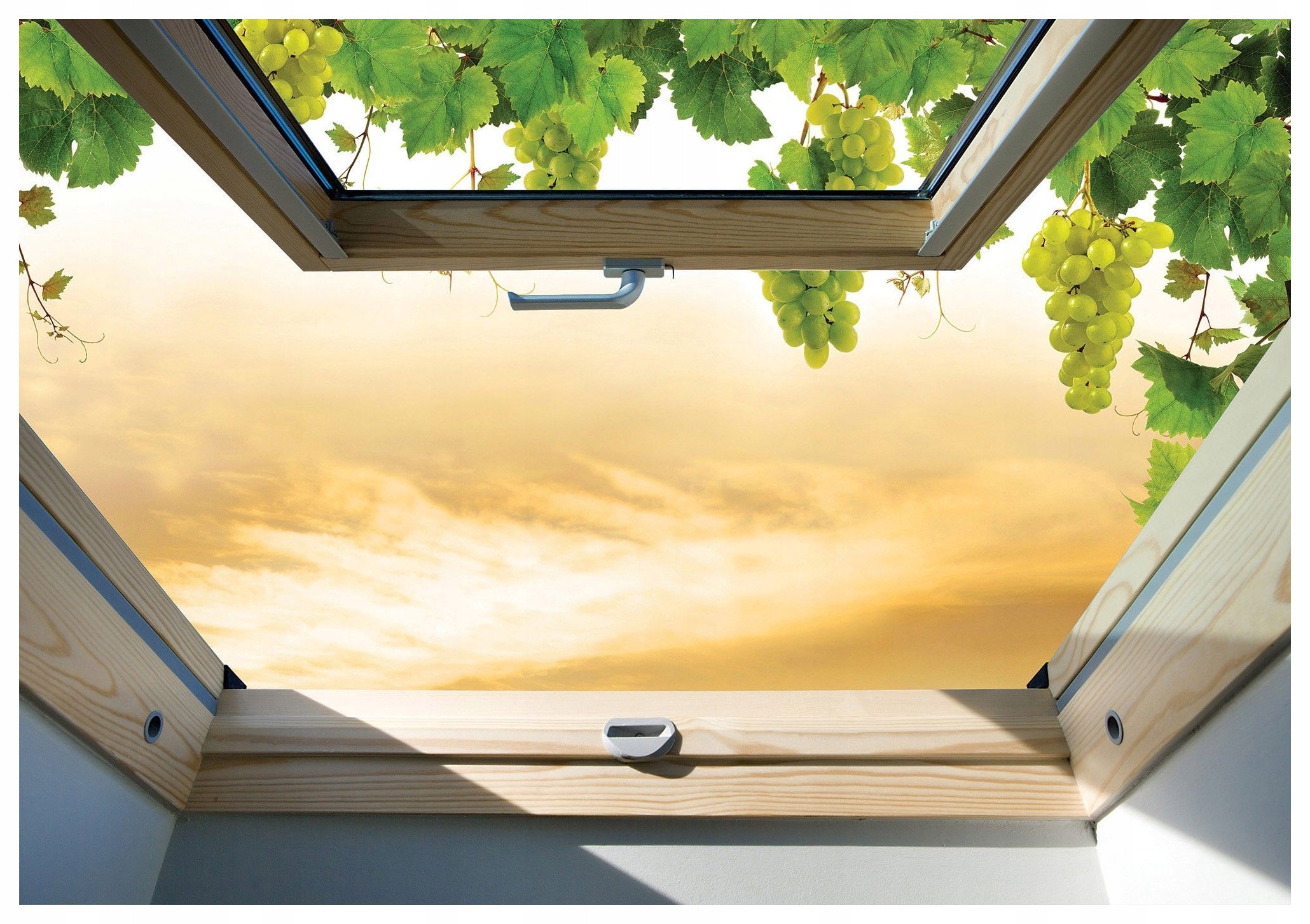 Fototapeta Hrozno okno leto výhľad 416x254 vinyl Útulnosť Slnko lepidlo