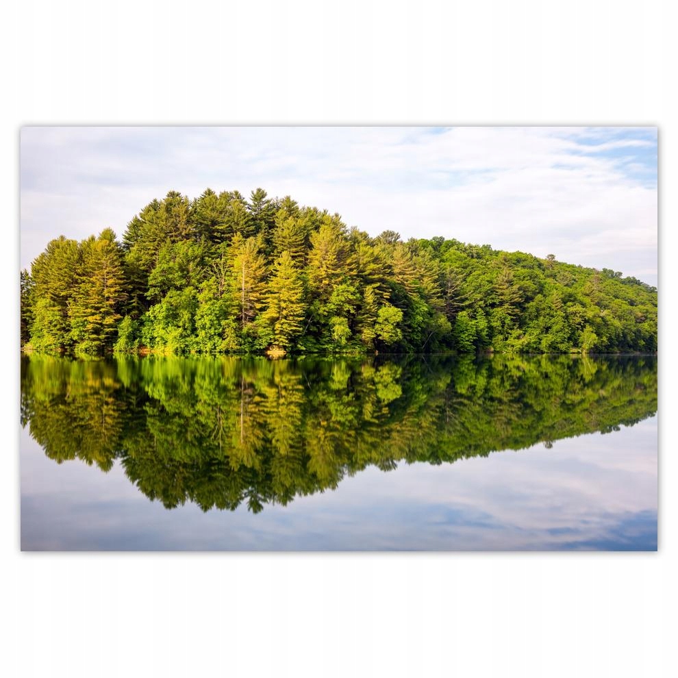 

Plakaty 60x40 Las Jezioro Chmury