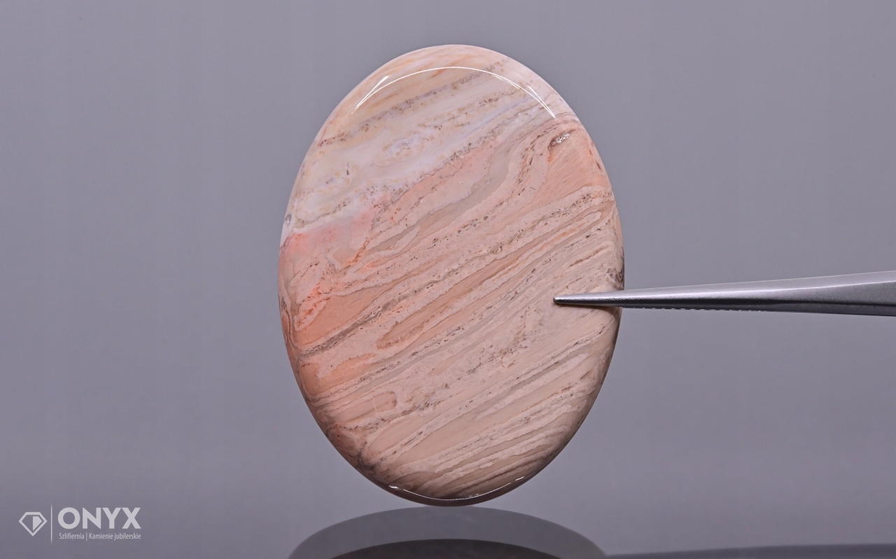 Zkamenělá palma konvexní mělká ovál 40x30 mm