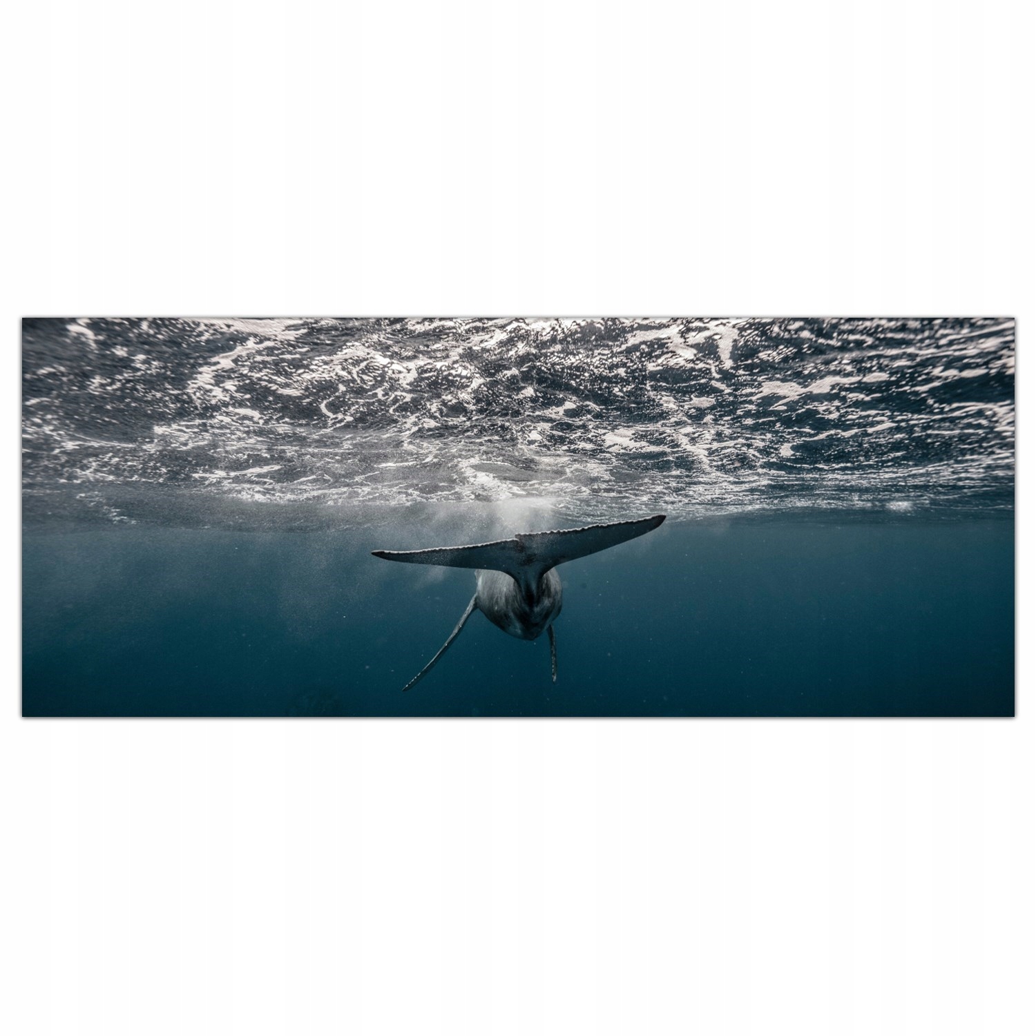 Veľryba Ocean Voda 125x50 Panel tvrdené sklo