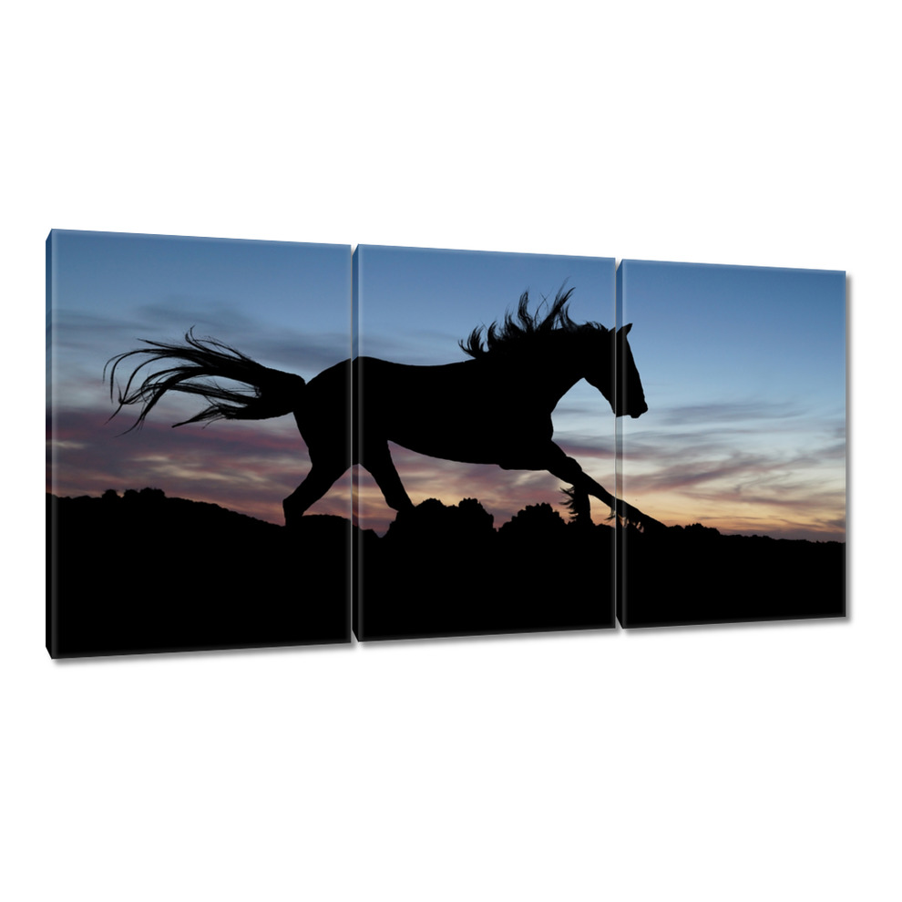 

Obrazy 120x60 Pędzi na złamanie karku