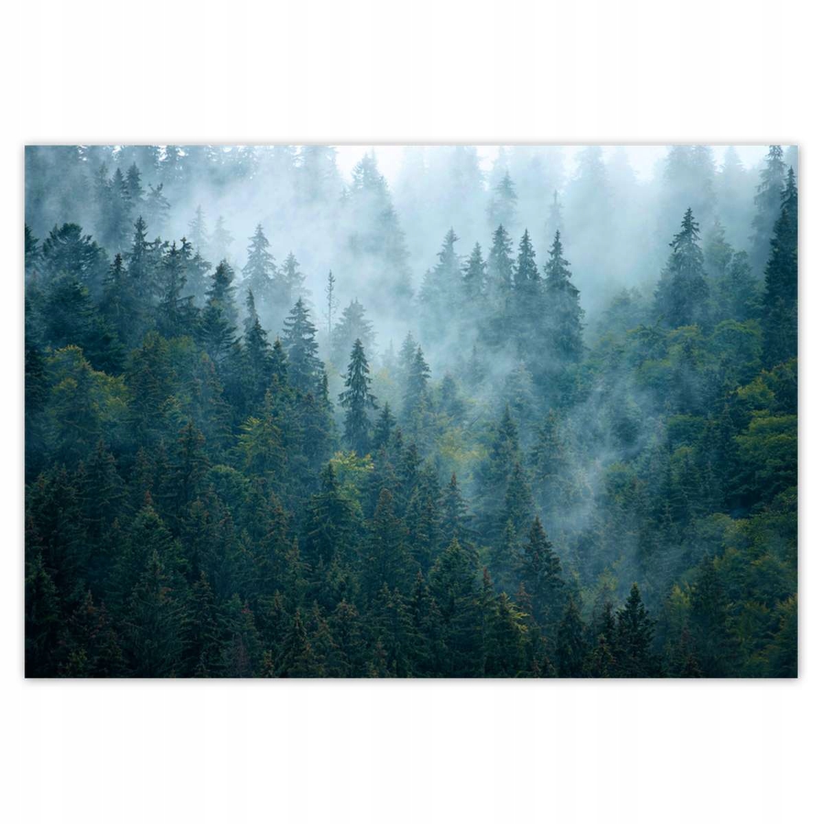 Fototapety 368x254 Les v mlze Cestování