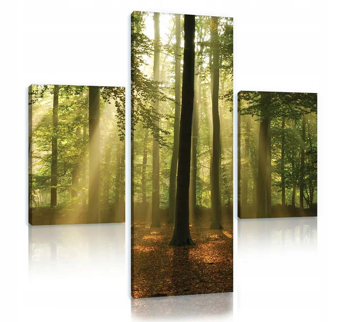 Obraz Na Plátně Canvas 80x80 Les Stromy Slunce