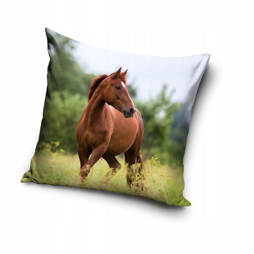 

Poszewka Na Jasia 40x40 Kasztan Koń Konik Konie