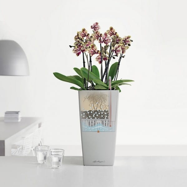 Doniczka Lechuza Mini cubi biała Kod producenta 18120