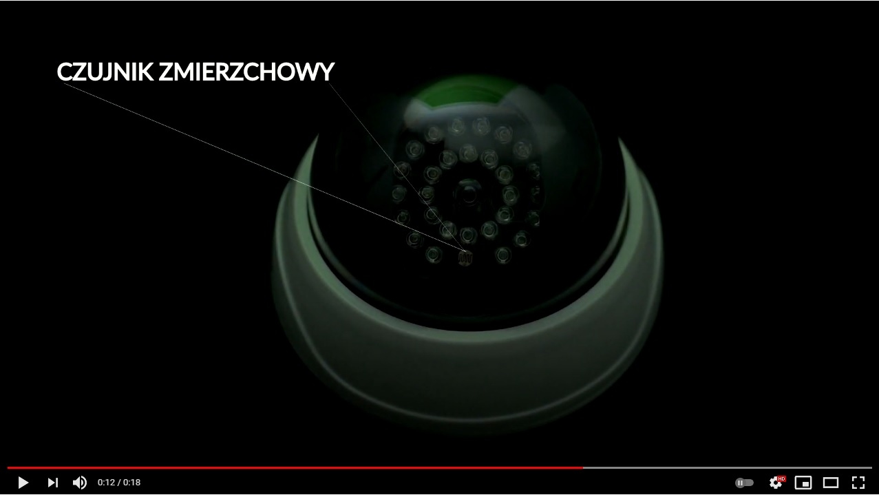 KAMERA ATRAPA DIODA LED KAMERY ZEWNĘTRZNA Z CZUJNIK Kolor biały