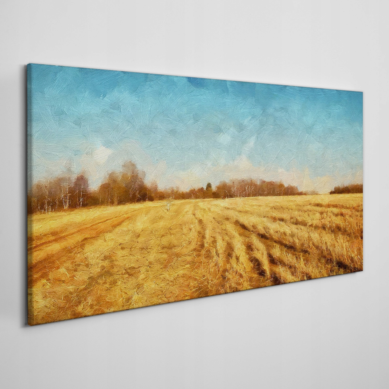 

Foto-obraz na ramie płótno Wieś pole las 120x60 cm
