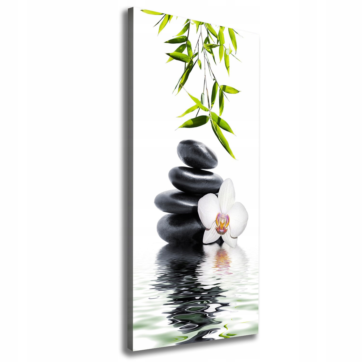 

Foto obraz na płótnie Orchidea i kamienie 50x125cm