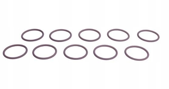 7200-0053 - DELPHI инжектор уплотнительное кольцо