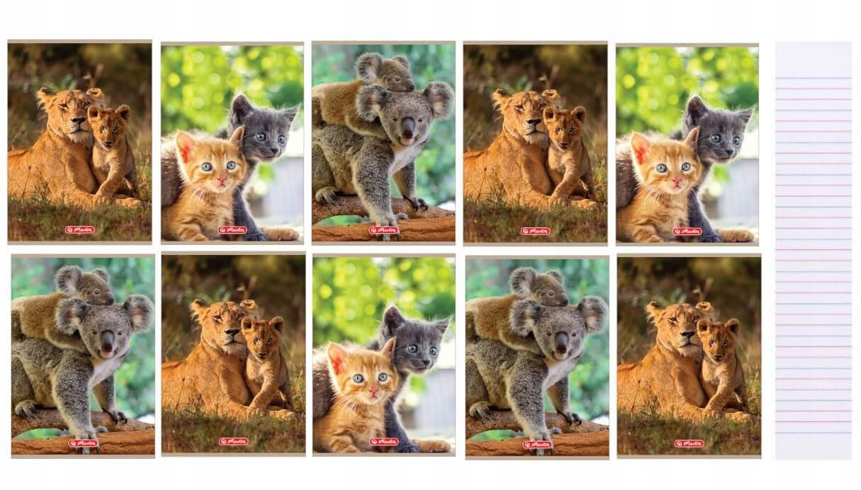 

Zeszyt A5 16k 3 linie kolor Animals Herlitz 10szt