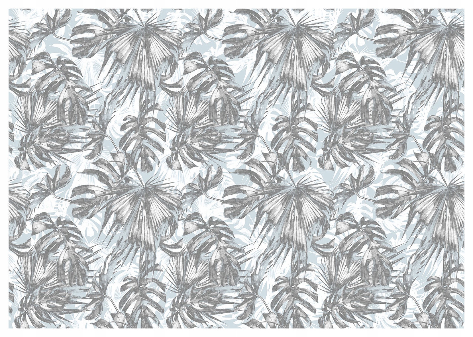 Fototapeta Monochromatické šedé palmy Vinylové listy 254x184 lepidlo