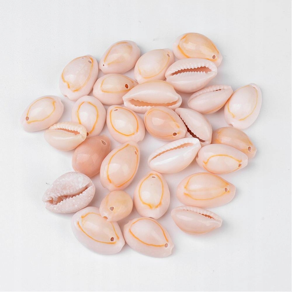 Wisiorek Muszla Kauri, Beżowy, 17~22x11~16x9~11mm, Otwor 1mm, 50g~28szt