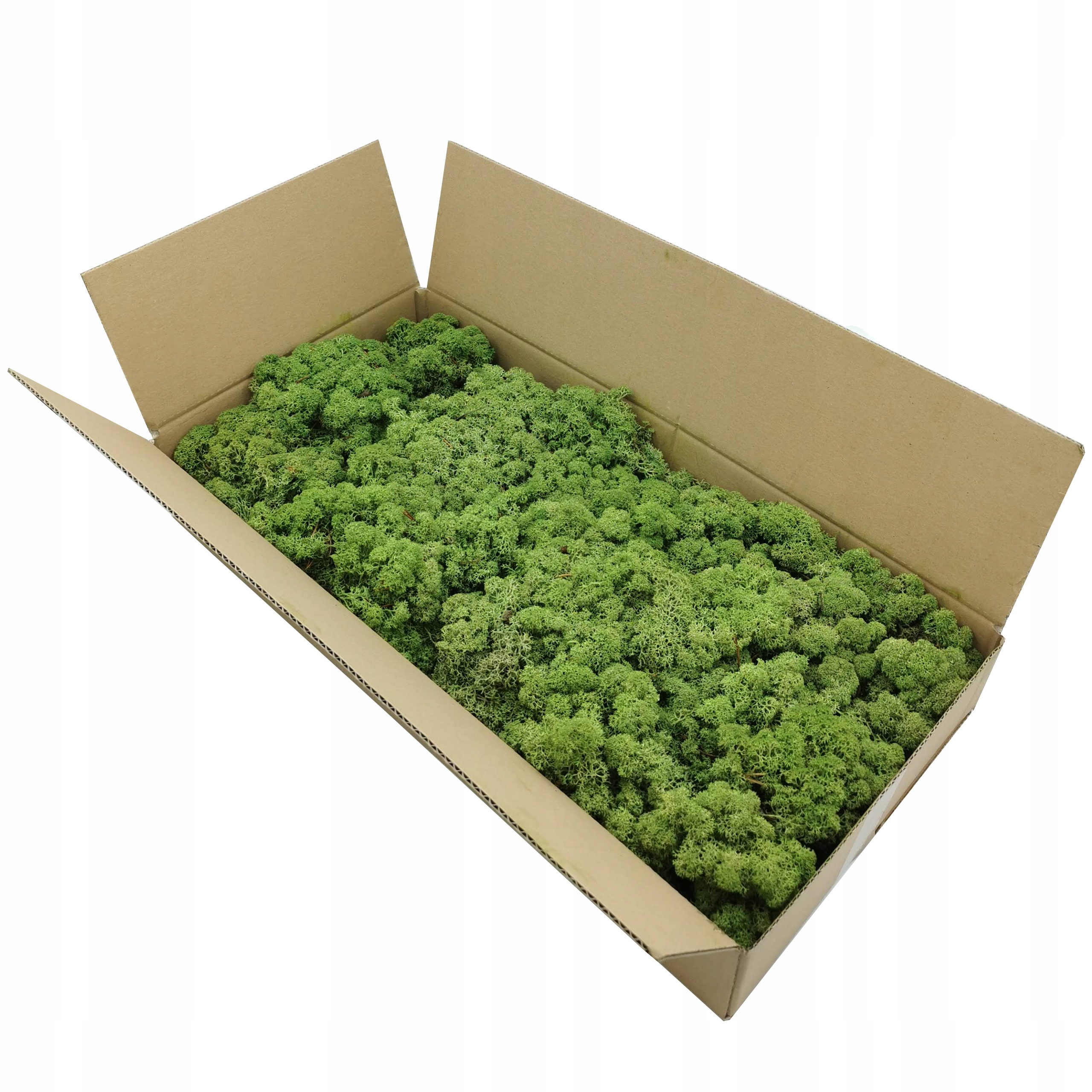 

Mech chrobotek norweski 500g
