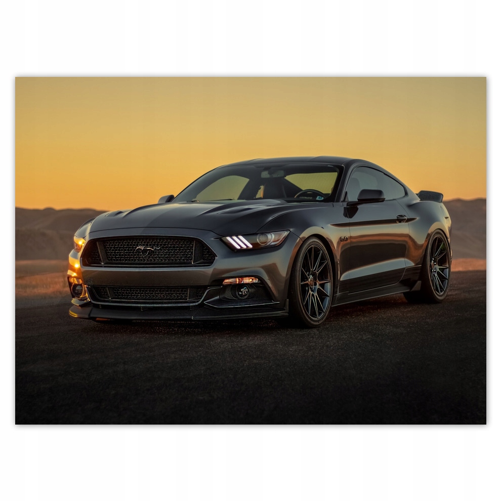 

Naklejki 135x100 Ford Mustang Usa