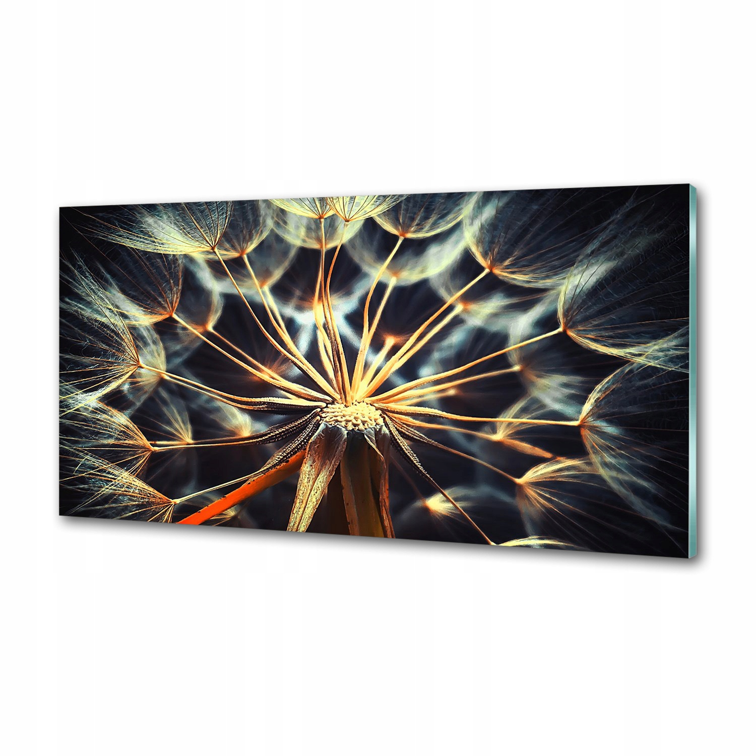 Panel medzi nábytkom v kuchyni Púpava 120x60 Lepidlo