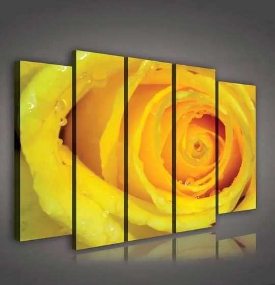 Obraz 150x100 Žltá ruža kvapky sviežosť príroda makro jemnosť krása