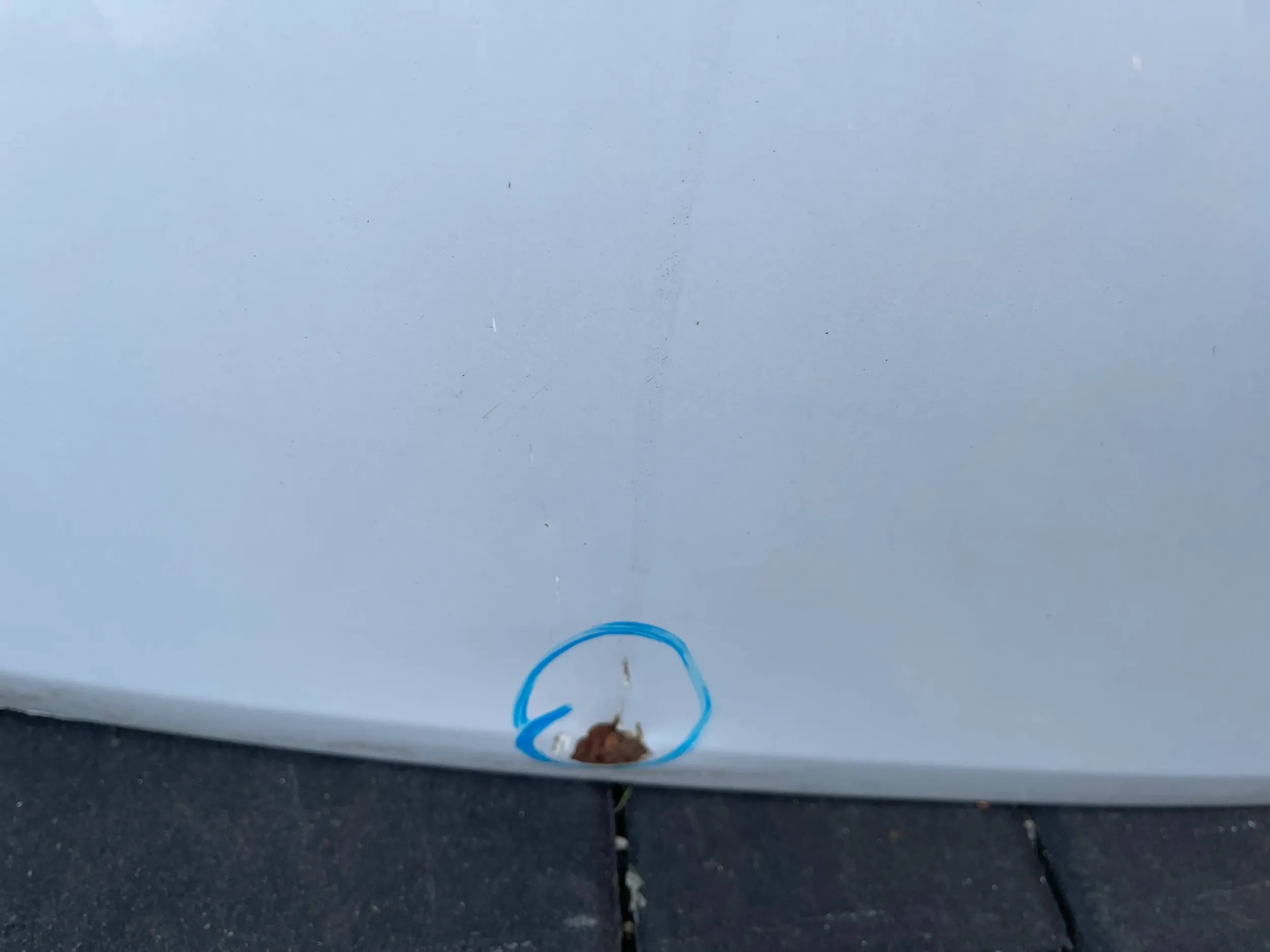 boot door rear boot Suzuki Swift MK7 IV 10