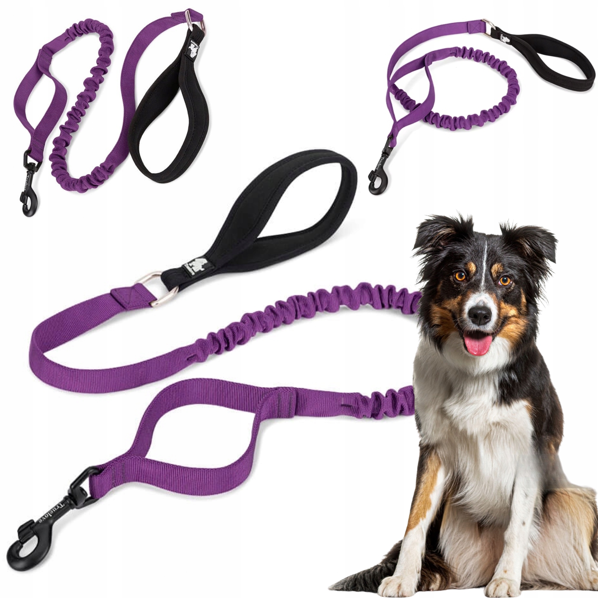 Levně Vodítko Pro Psa S Tlumičem Silná Truelove Adventure 160 CM Fialová M