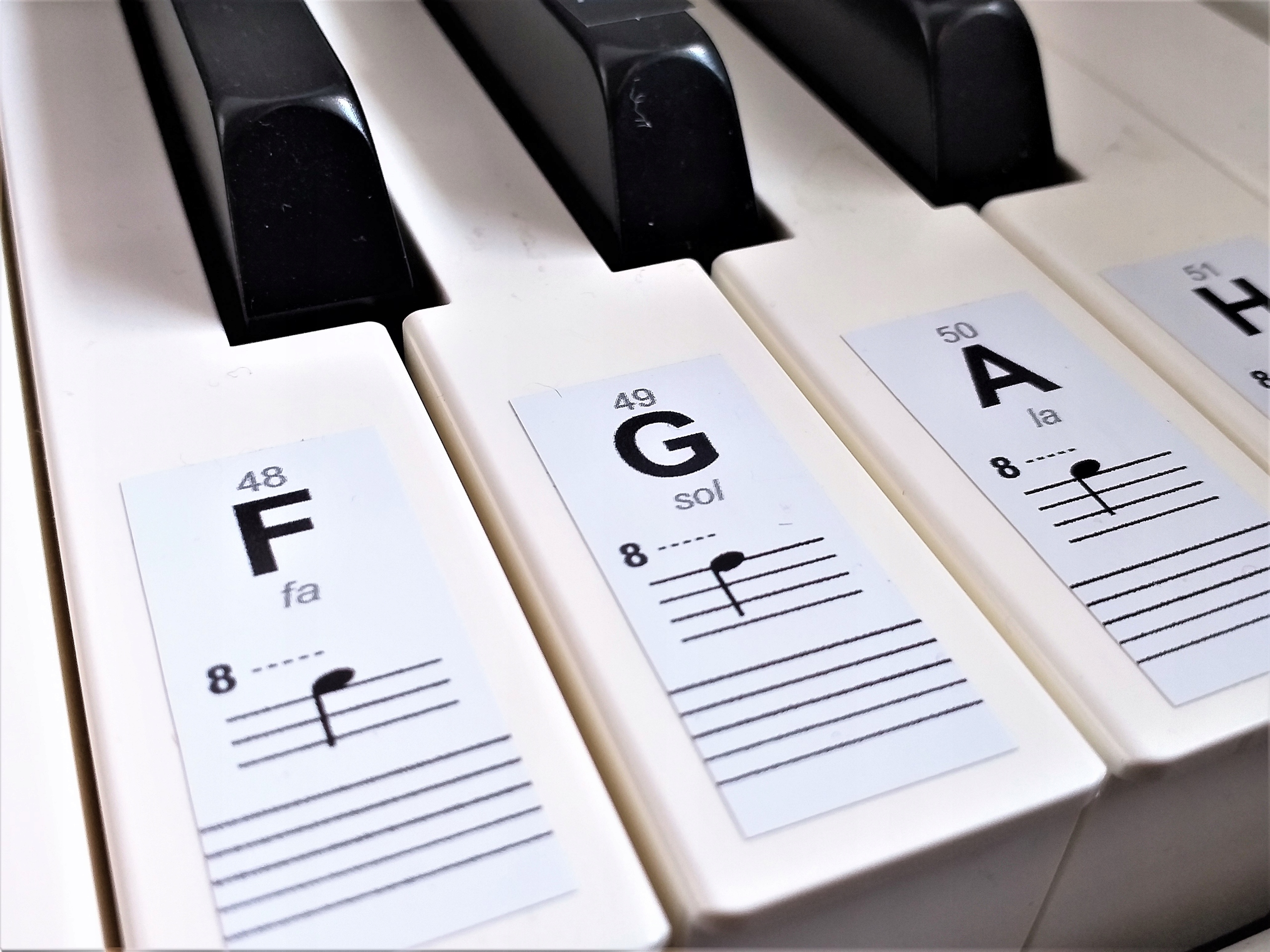 

Naklejki Nuty Na Klawisze Keyboard Pianino Organy