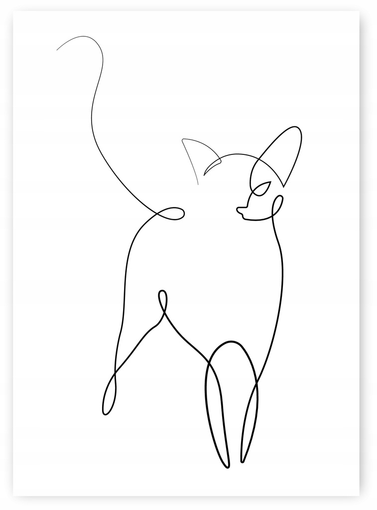 KOT MINIMALIZM LINIA PLAKAT 21x30cm cz-b obraz abstrakcja lineart #399