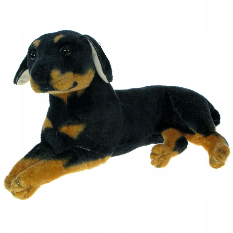 

Zoo: maskotka Pies rottweiler leżący 45cm (16375)
