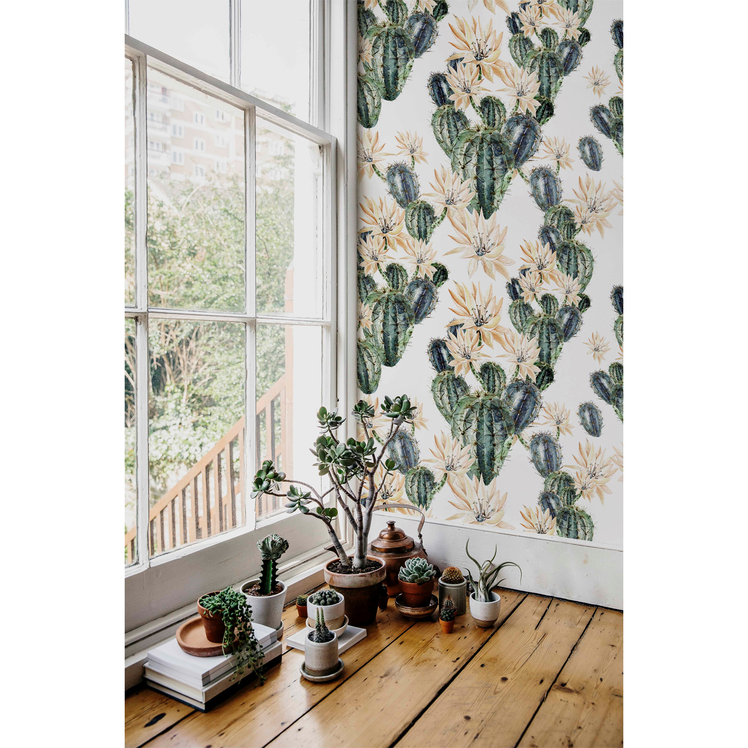 

Foto tapeta samoprzylepna Kwiaty kaktusa 250x250cm
