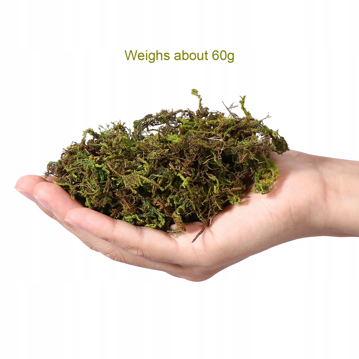 ROŚLINY NATURALNE MCHY I POROSTY DO DEKORACJI OGRODU (60G) Kod producenta 364069JLPAAHZR3417R4E