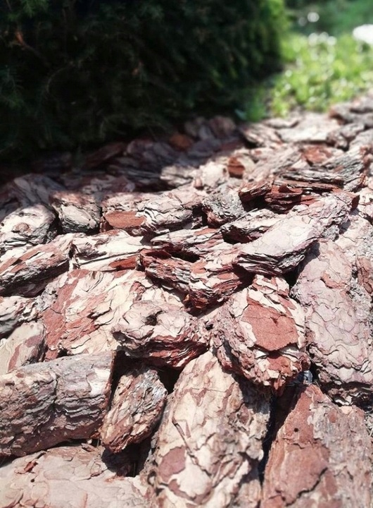 KORA OGRODOWA GRUBA RĘCZNA 50-120 PALETA 20SZT. SORTOWANA SOSNOWA PRODUCENT Frakcja 50-120 mm