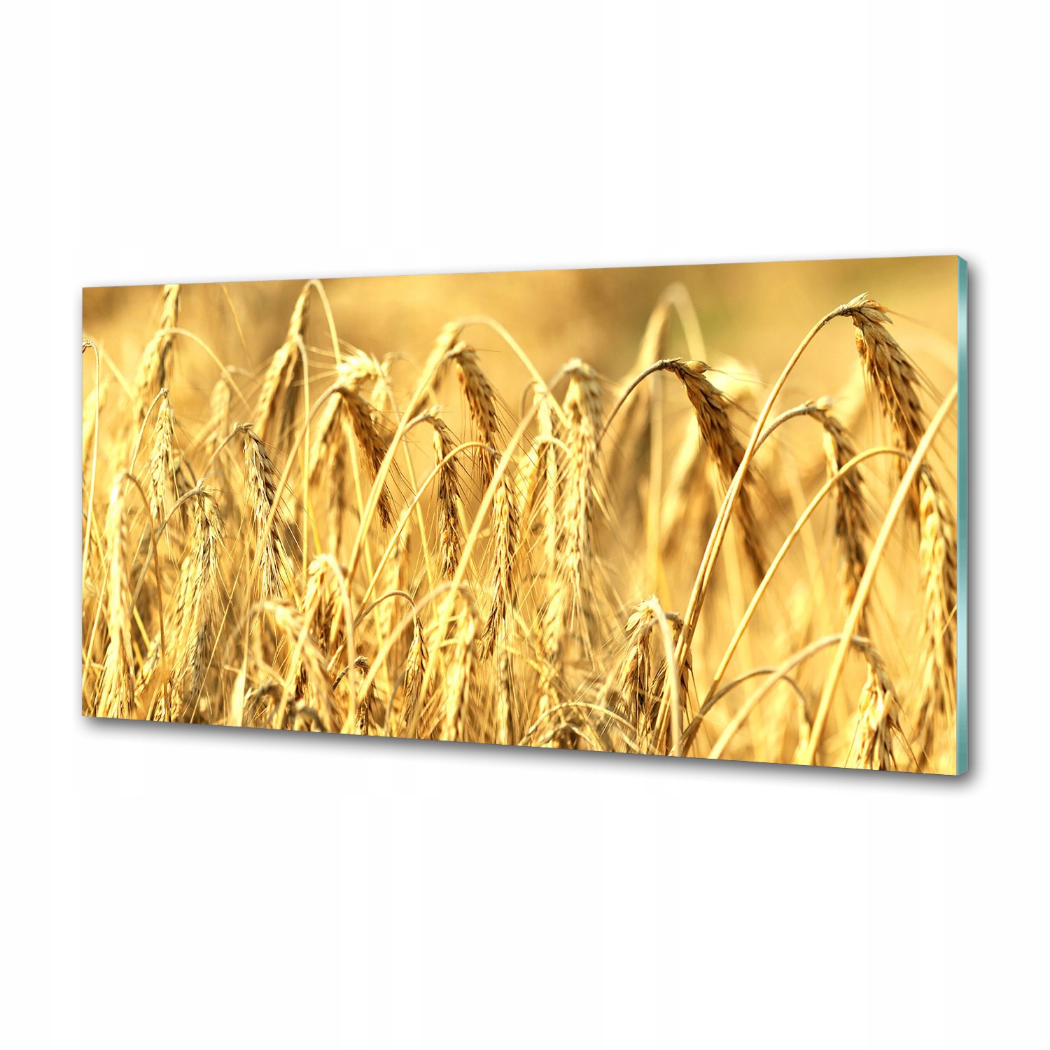 Sklenený panel do kuchyne Obilniny 120 x 60 cm Lepidlo