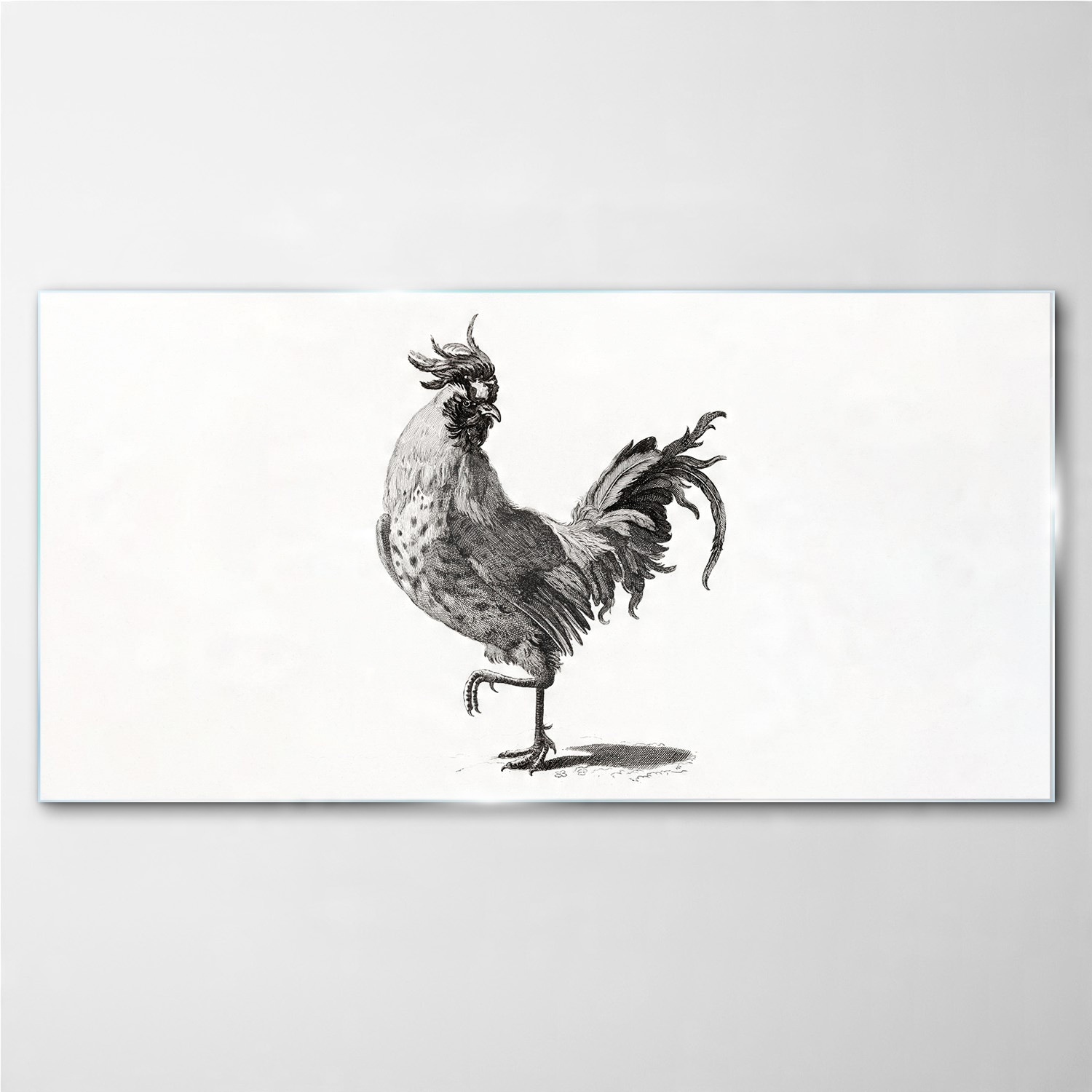 

Foto-obraz szklany Zwierzę ptak kurczak 140x70 cm