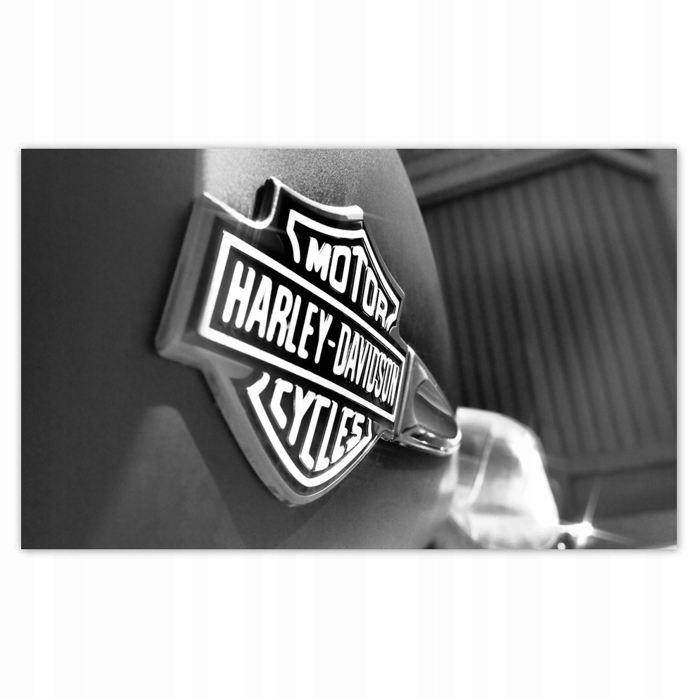 

Fototapety flizelina 520x318 Logo Harley Davidson