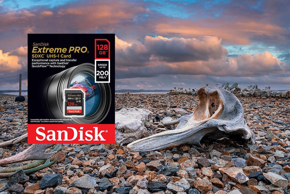 Karta pamięci SANDISK Extreme PRO SDXC 128GB Format karty SD
