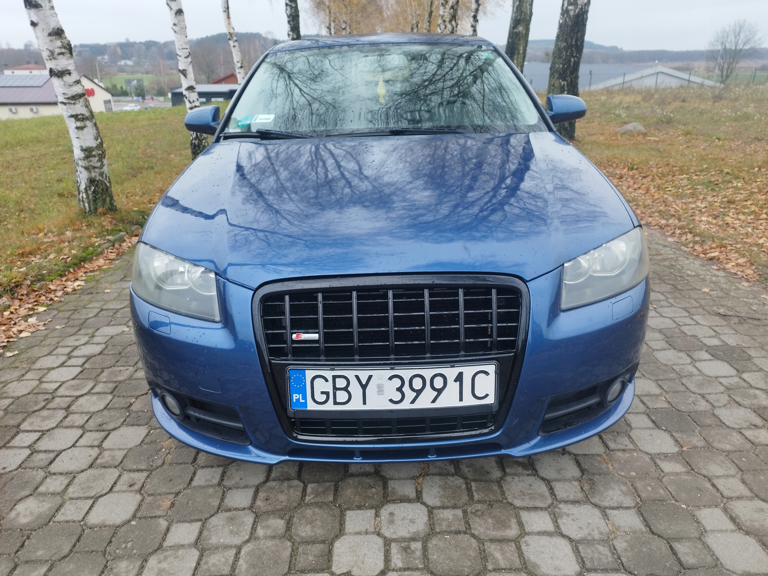 Audi A3 8P Kühlergrill FRONTGRILL Kühlergitter - Thumbnail 1