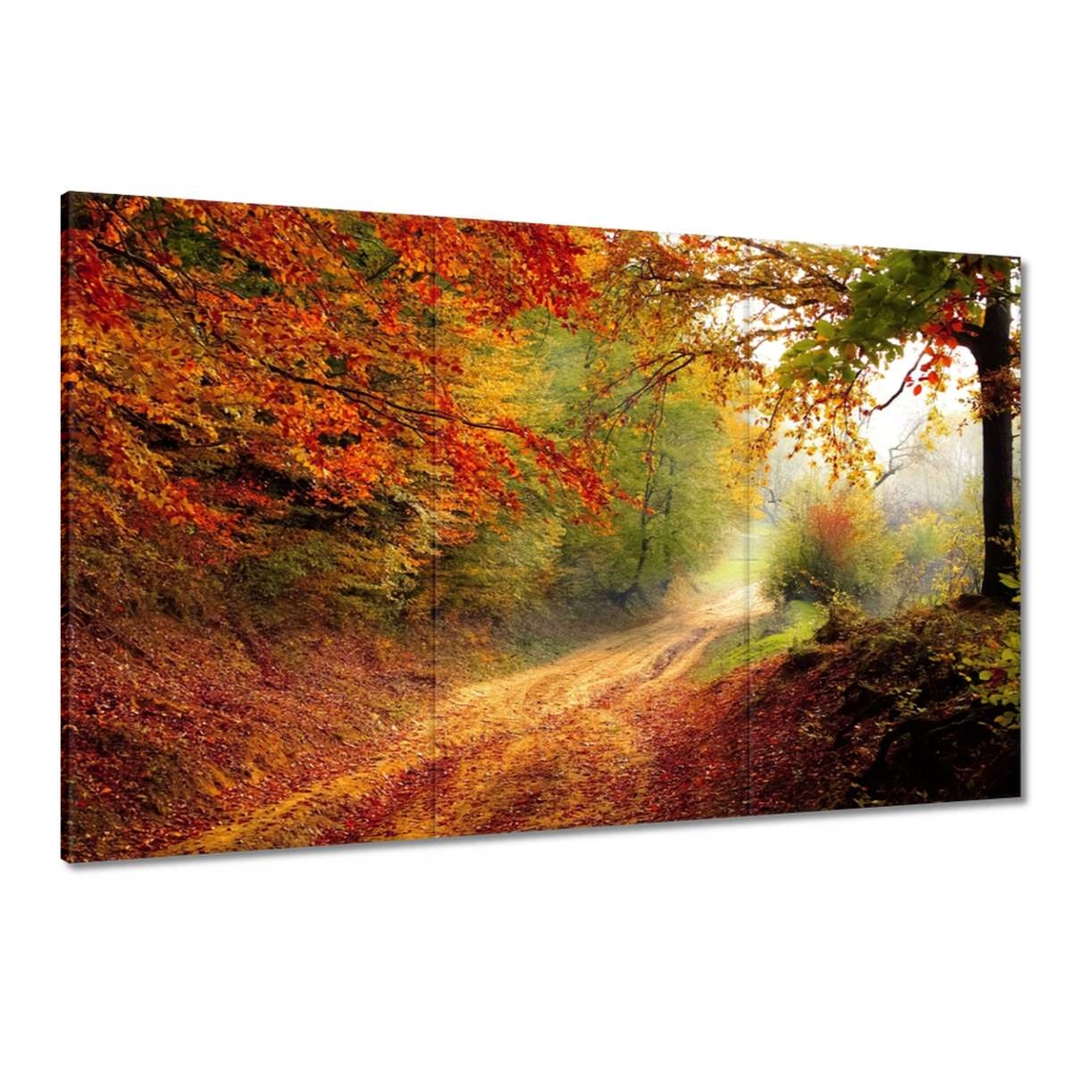 Obrazy 120x80 Cesta v lese podzim