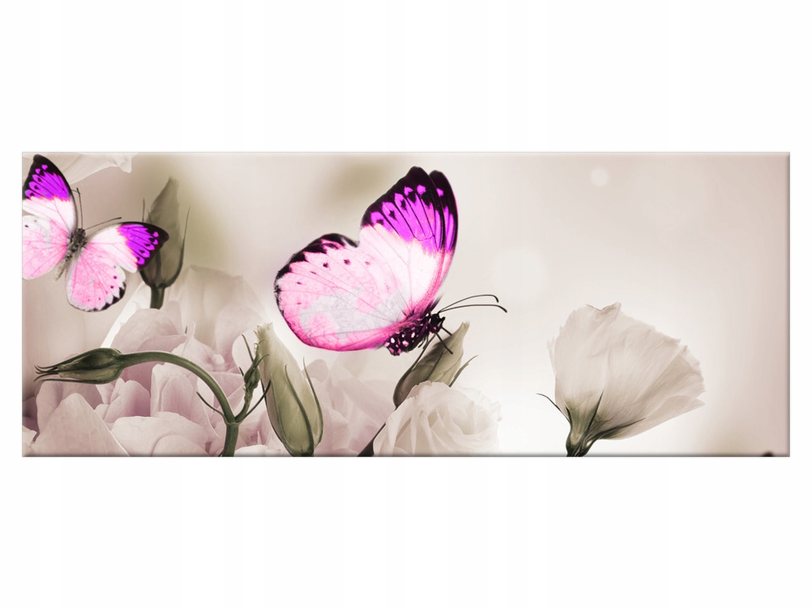 

Obraz Motyli raj 100x40 Kwiaty 1242A_1I do salonu