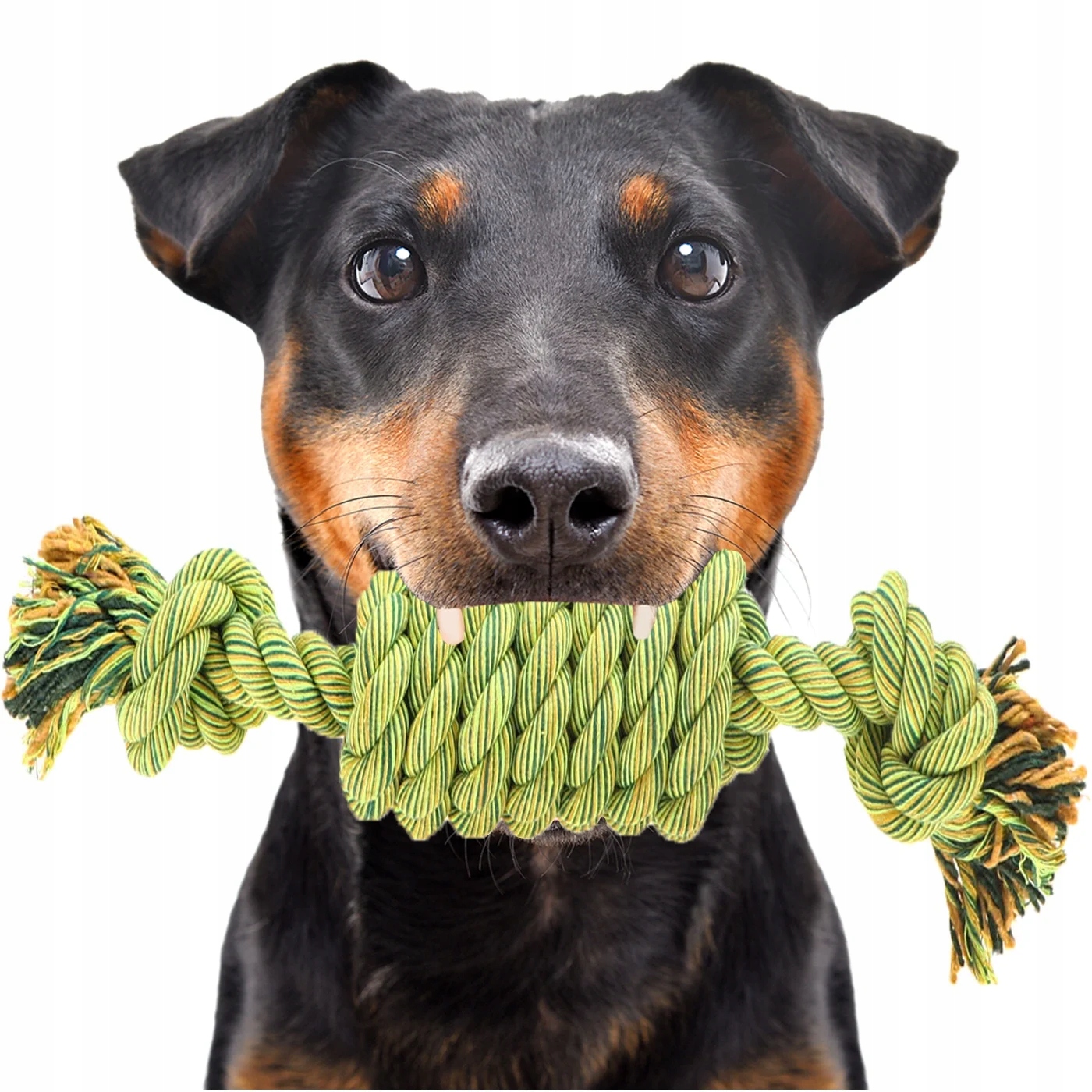 Levně Přetahovadlo Pro Velkého Psa – Kousátko Z Bavlněného Provázku Na Škubání