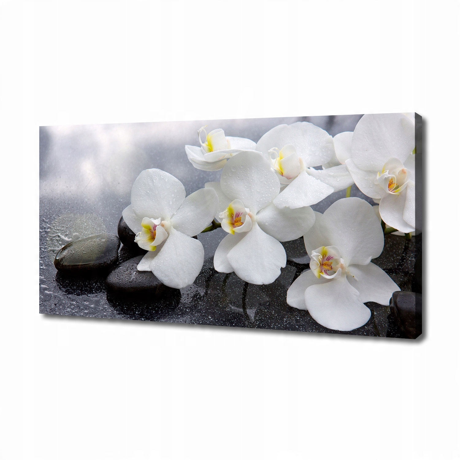 

Foto obraz canvas na ścianę Orchidea 140x70 cm