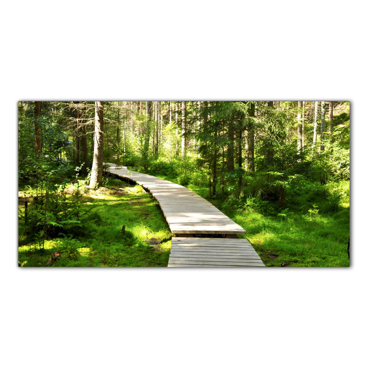 Cesta Les Stromy 120x60 Skleněný panel do kuchyně