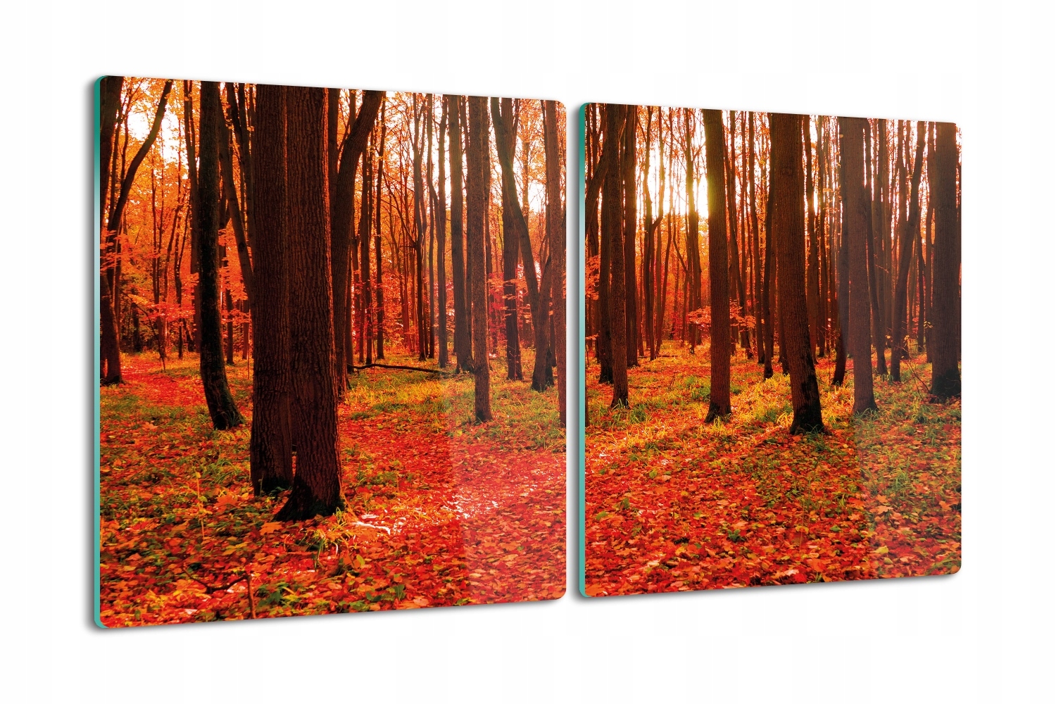 Skleněná kuchyňská deska na krájení jako Dárek 2x40x52 Les listí podzim