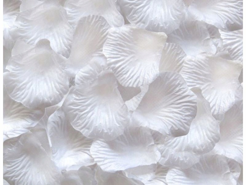 

Dekoracyjne Płatki Róż 100SZT - Ślub, Wesele Różne