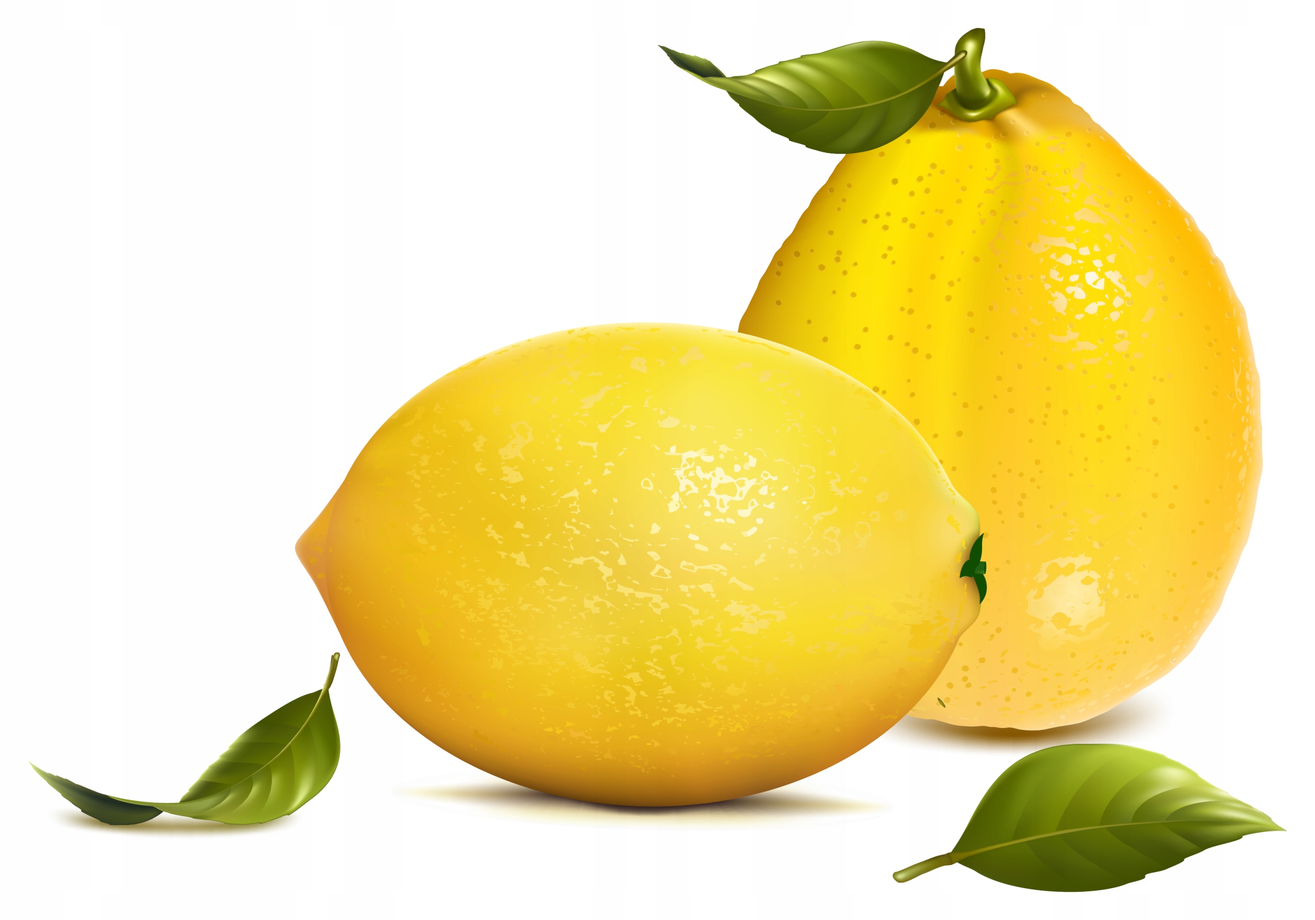 NAKLEJKA NA OKNO MEBLE LUSTRO CYTRYNA OWOCE OWOC