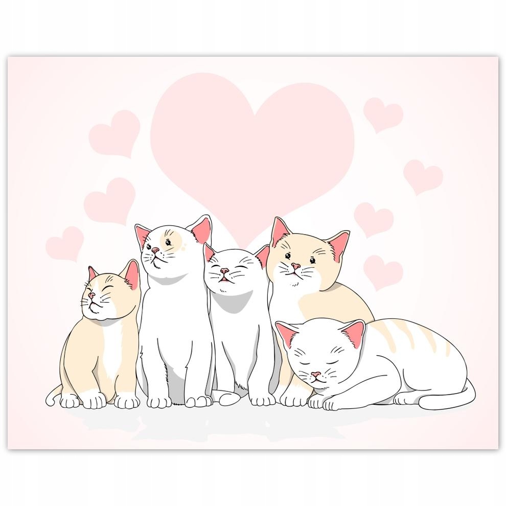 

Plakat 50x40 Kotek Kotki Koty Kicia